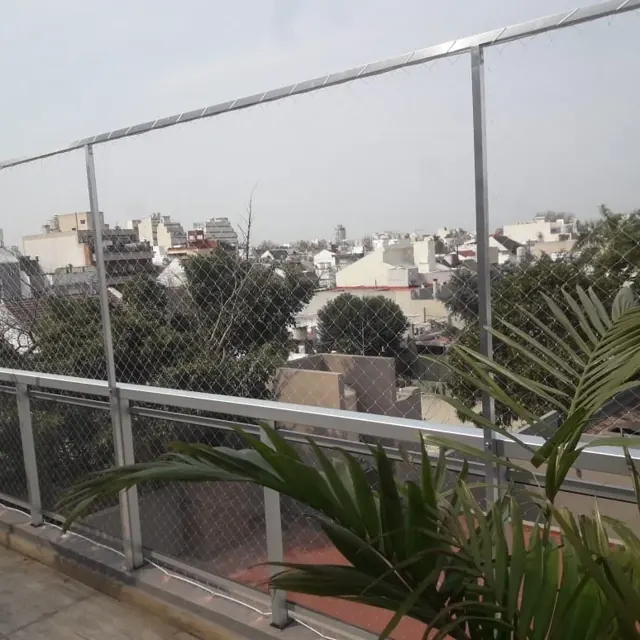 Terraza con red transparente, plantas y una palmera.